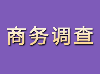 黄石商务调查